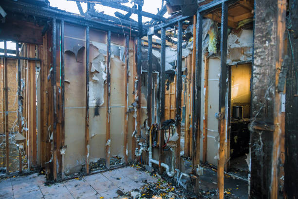 Professional Fire Damage Removal technician working in Gosnell, AR